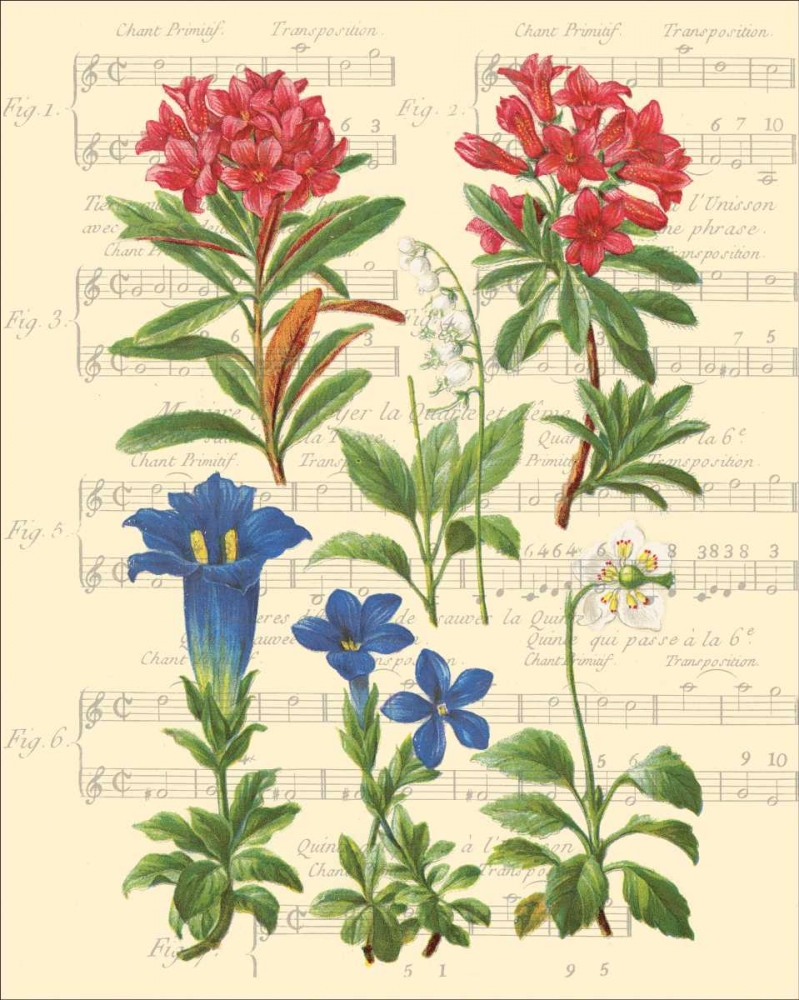 Allegro I art print by Irene Paschal for $57.95 CAD
