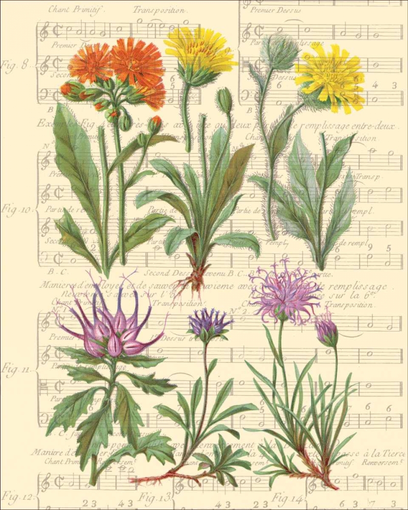 Allegro II art print by Irene Paschal for $57.95 CAD