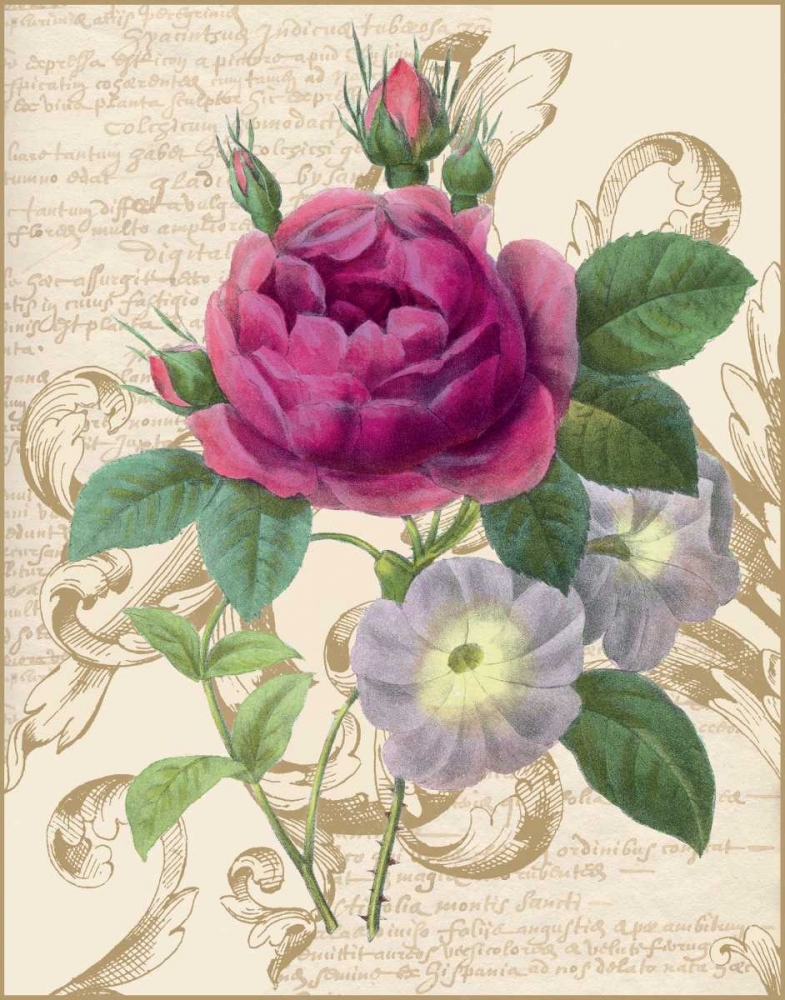 Bloomsbury II art print by Lily Nicole for $57.95 CAD