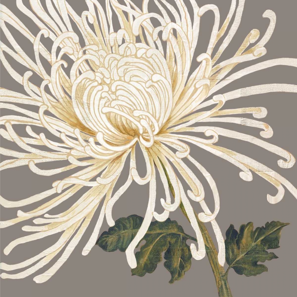 Glorious Whites II art print by Judy Shelby for $57.95 CAD