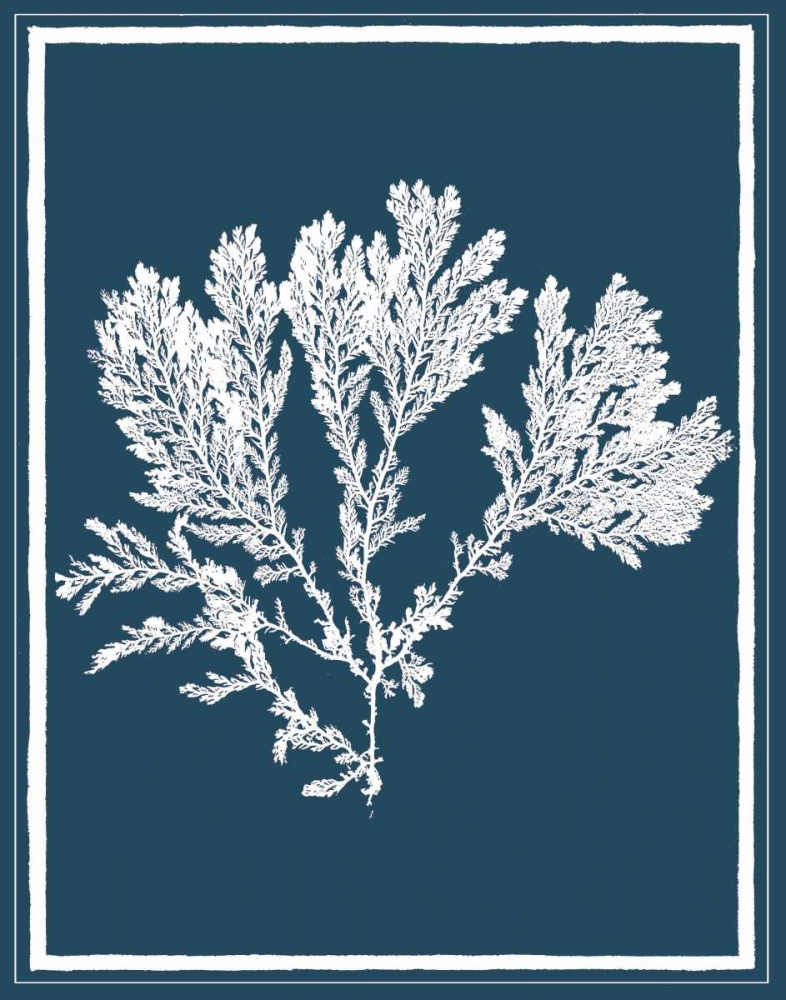 Indigo Seas I art print by David Lawrence for $57.95 CAD