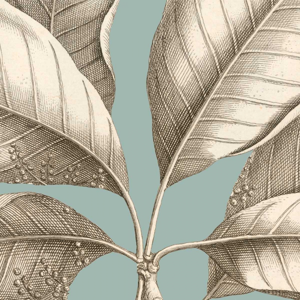 Tropical Varieties I art print by David Lawrence for $57.95 CAD