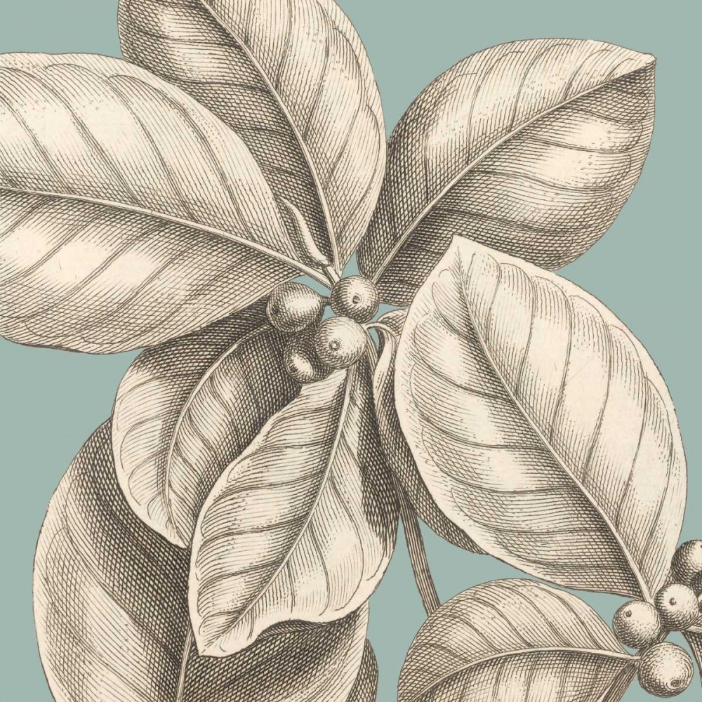 Tropical Varieties II art print by David Lawrence for $57.95 CAD