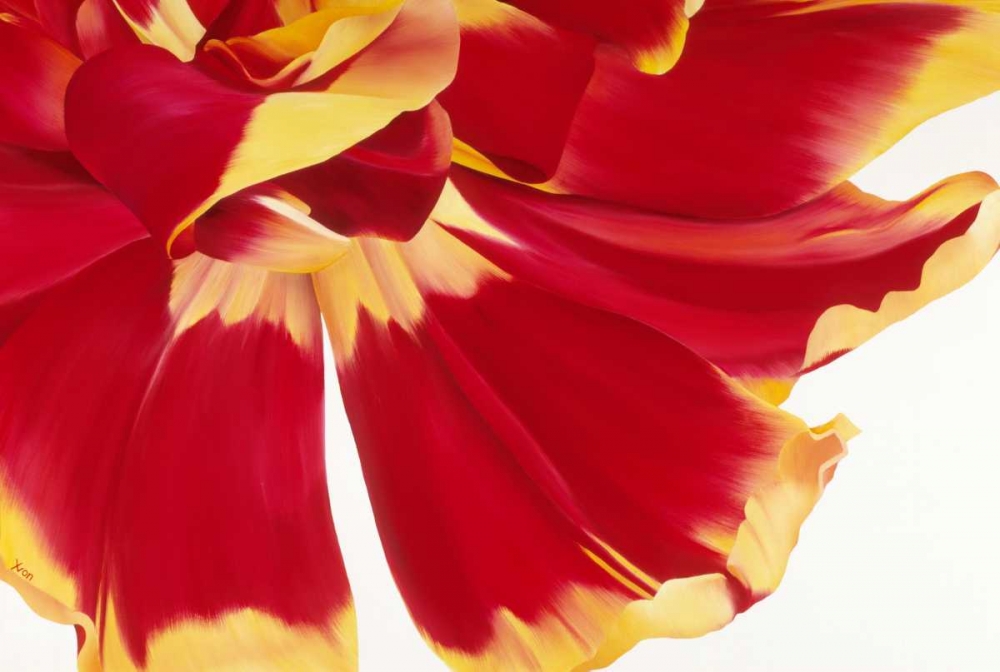 Floriade III art print by Yvonne Poelstra-Holzhaus for $57.95 CAD
