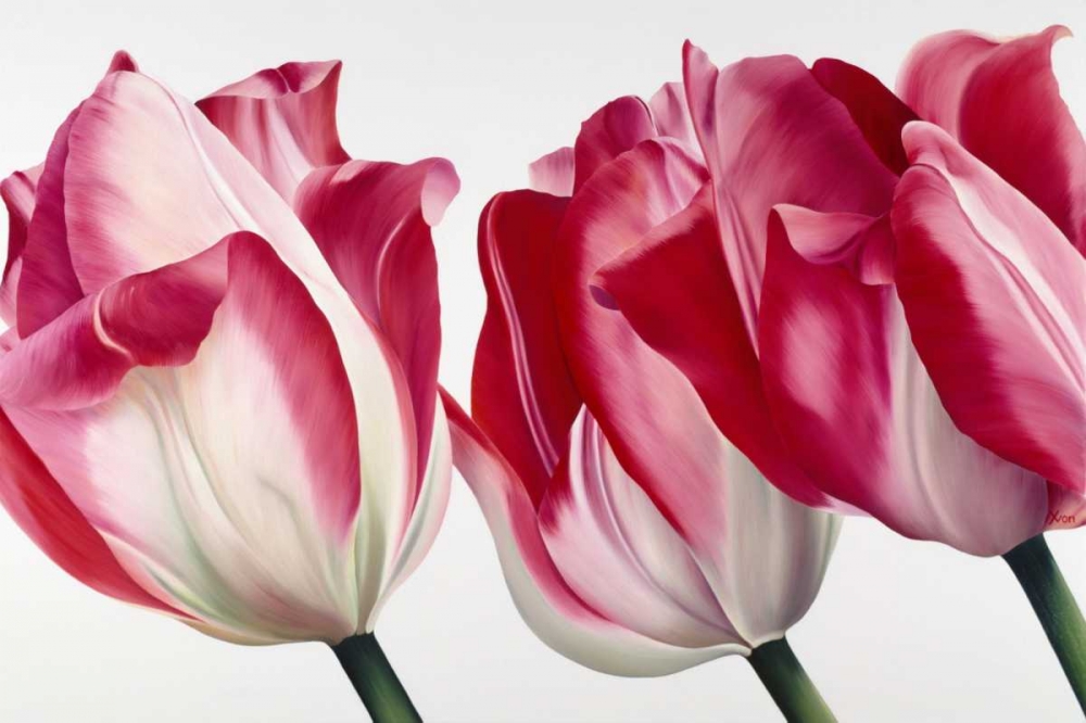 Floriade V art print by Yvonne Poelstra-Holzhaus for $57.95 CAD