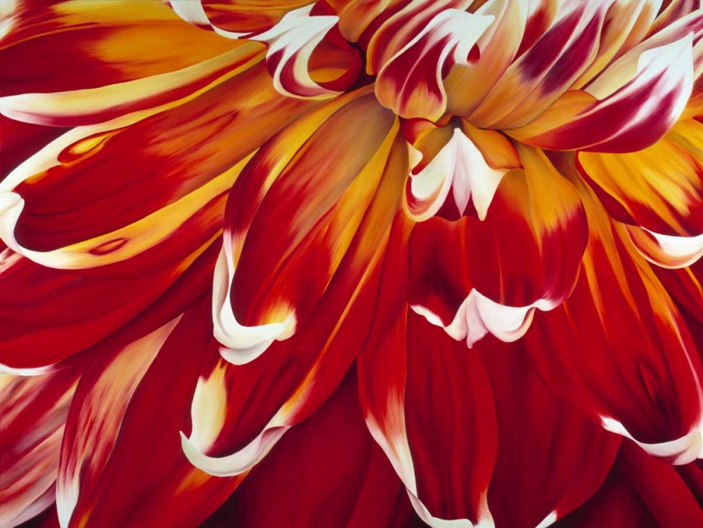 Redony art print by Yvonne Poelstra-Holzhaus for $57.95 CAD