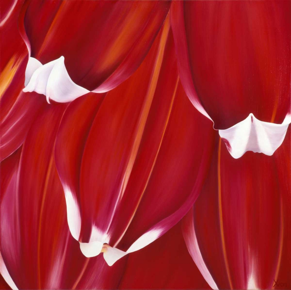 Most Beautiful Tulip II art print by Yvonne Poelstra-Holzhaus for $57.95 CAD