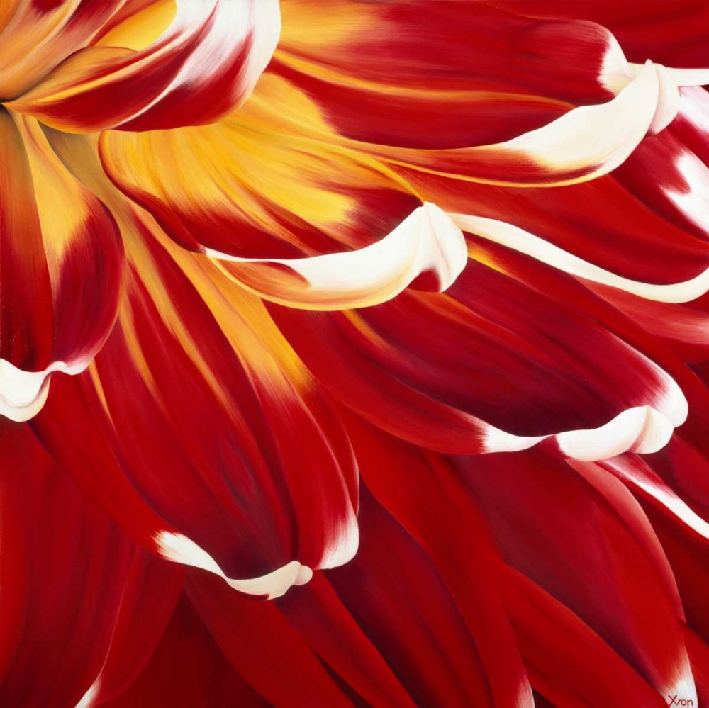 Colourful Floral I art print by Yvonne Poelstra-Holzhaus for $57.95 CAD