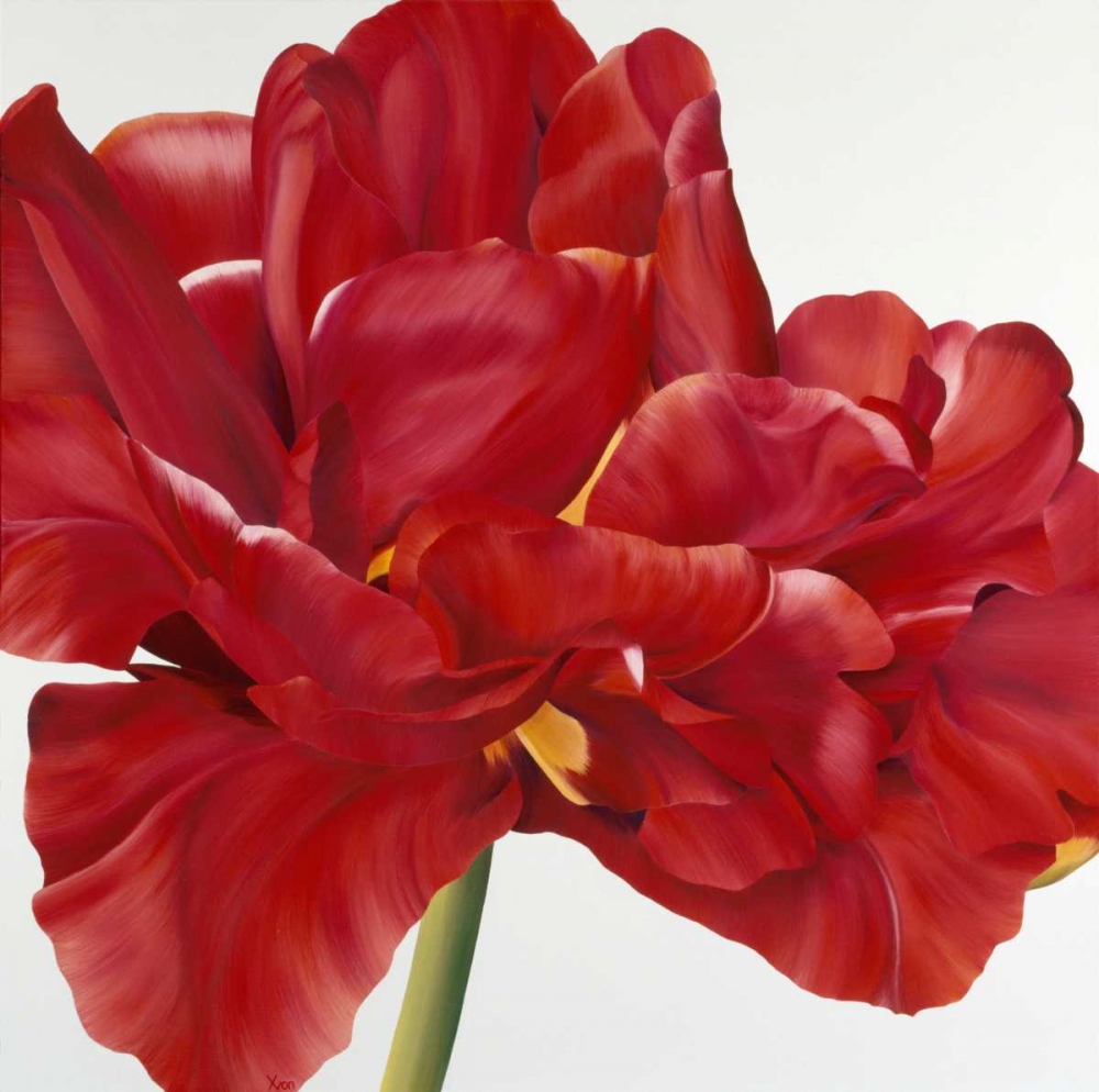 Colourful Floral II art print by Yvonne Poelstra-Holzhaus for $57.95 CAD