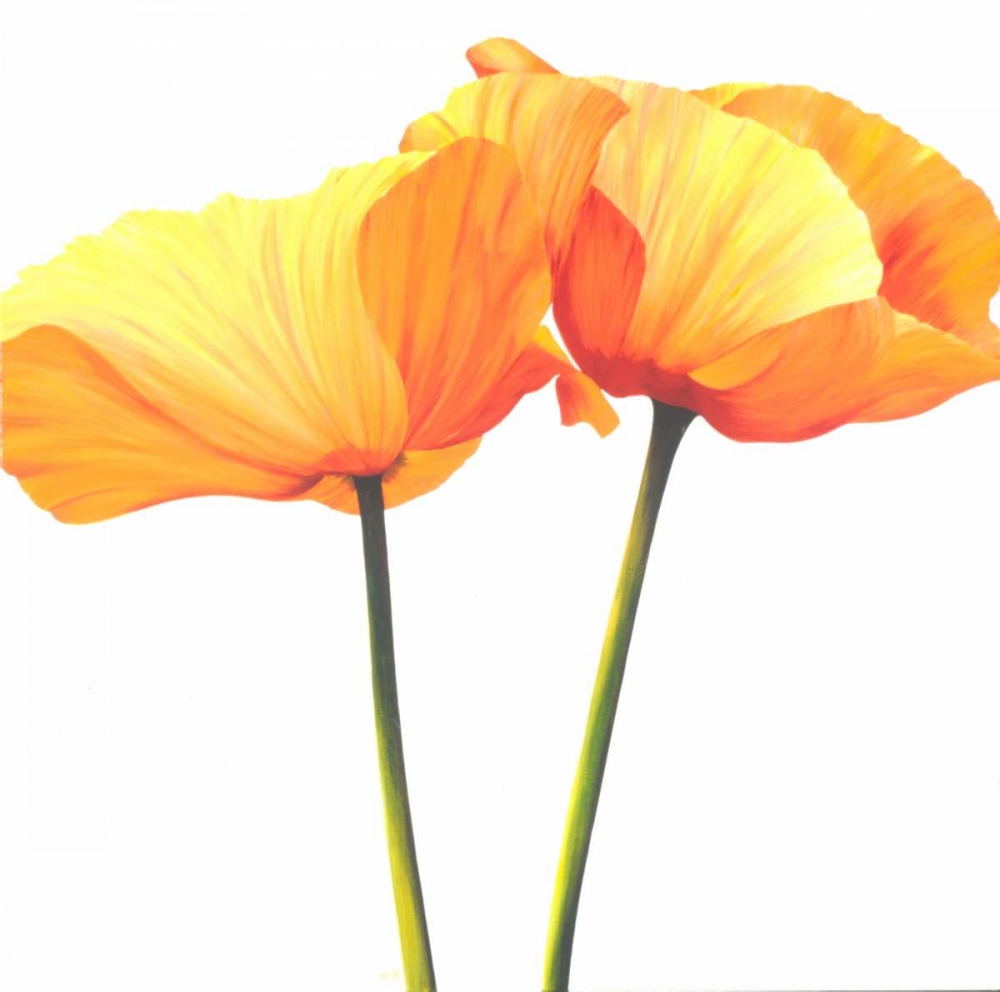 Yellow Poppy art print by Yvonne Poelstra-Holzhaus for $57.95 CAD