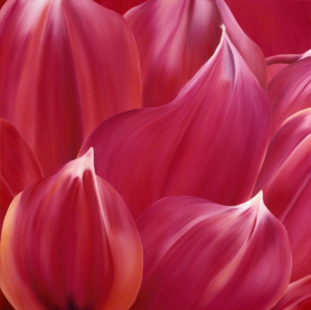 Close up art print by Yvonne Poelstra-Holzhaus for $57.95 CAD