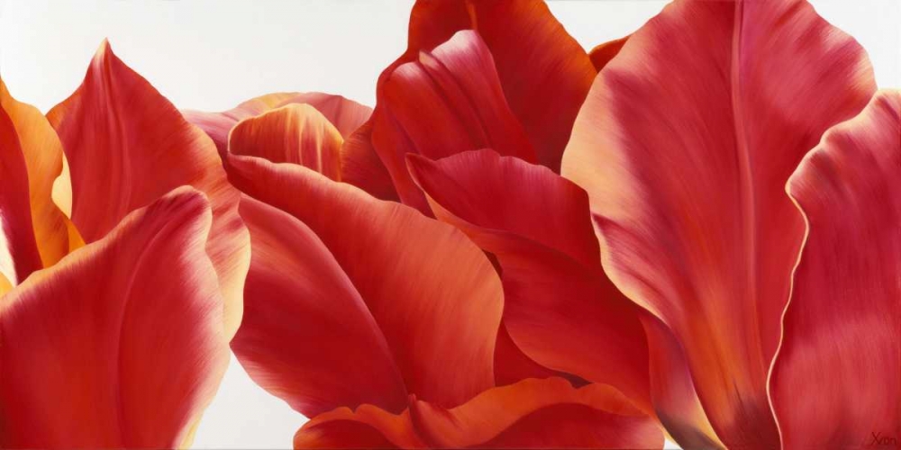 Fancy Flower I art print by Yvonne Poelstra-Holzhaus for $57.95 CAD