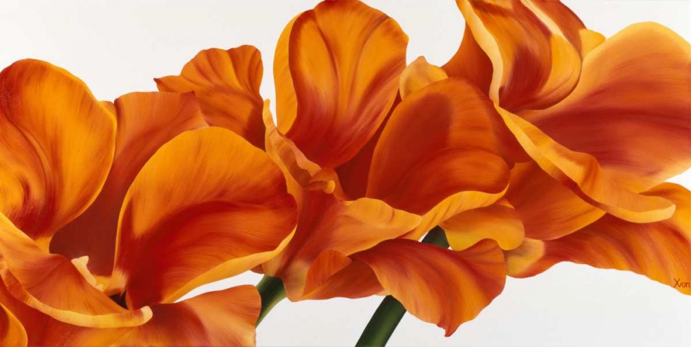Fancy Flower II art print by Yvonne Poelstra-Holzhaus for $57.95 CAD