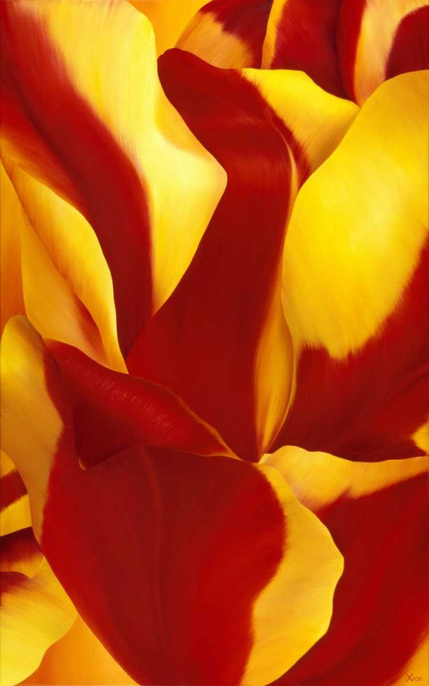 Magnificant Flower II art print by Yvonne Poelstra-Holzhaus for $57.95 CAD