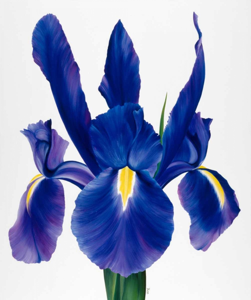 Purple floral I art print by Yvonne Poelstra-Holzhaus for $57.95 CAD