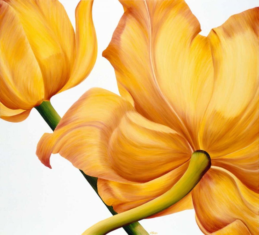 King yellow art print by Yvonne Poelstra-Holzhaus for $57.95 CAD