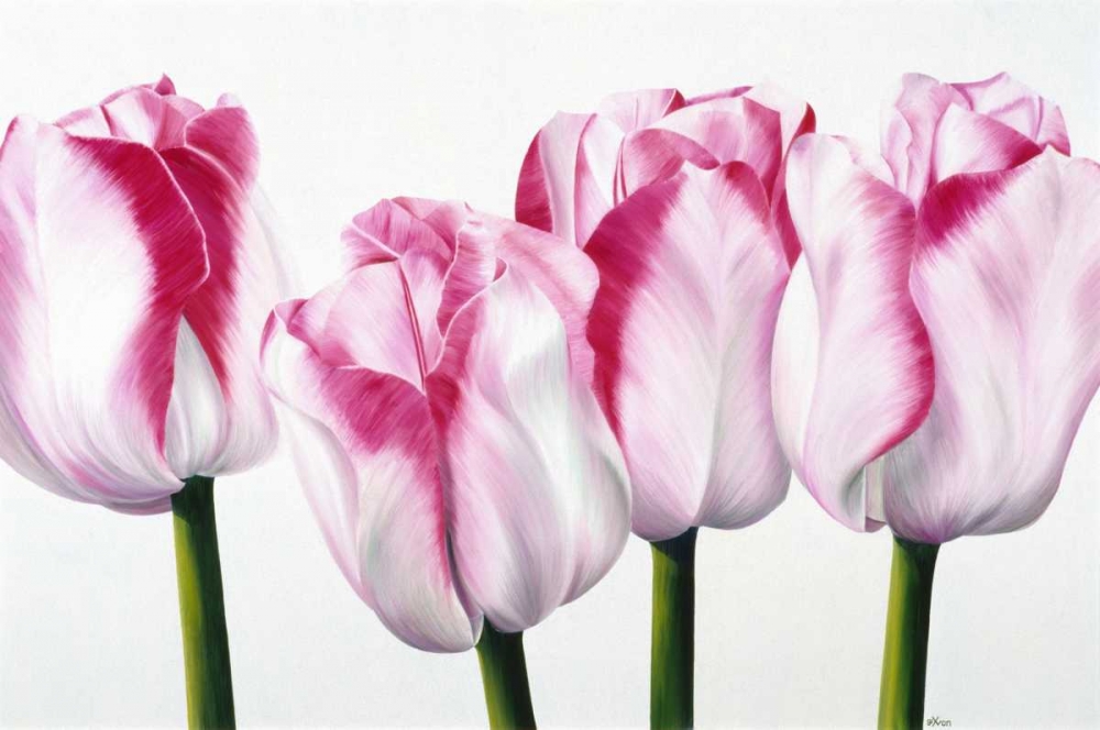 Dutch I art print by Yvonne Poelstra-Holzhaus for $57.95 CAD
