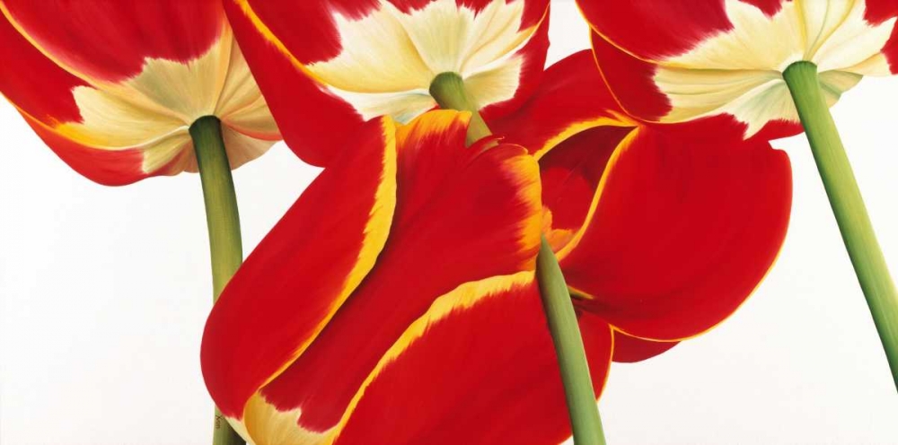 Dutch II art print by Yvonne Poelstra-Holzhaus for $57.95 CAD