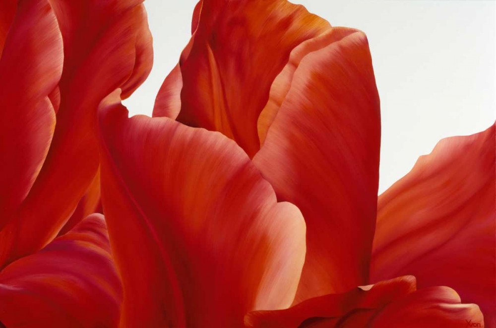 Party Tulip I art print by Yvonne Poelstra-Holzhaus for $57.95 CAD