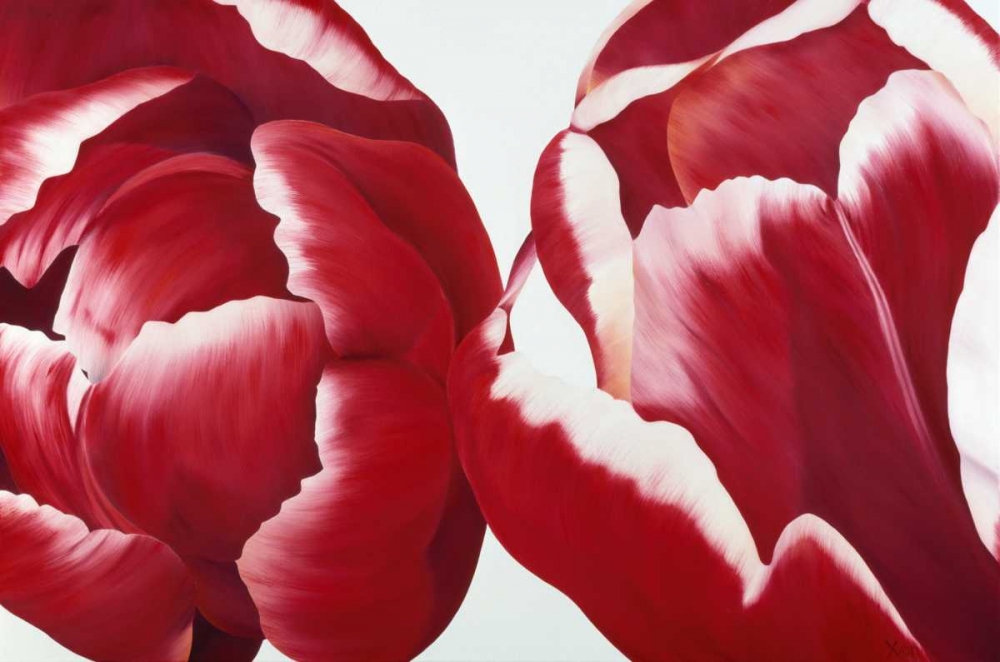 Together art print by Yvonne Poelstra-Holzhaus for $57.95 CAD