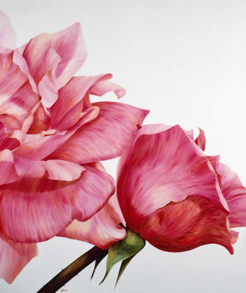 Pink Twin II art print by Yvonne Poelstra-Holzhaus for $57.95 CAD