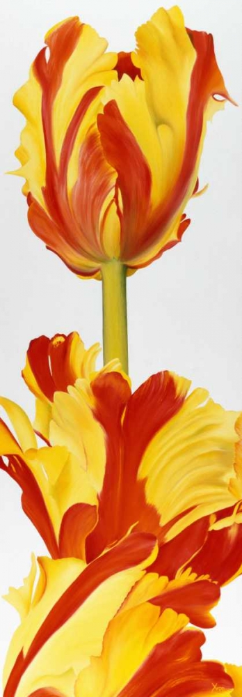 Taller then you! art print by Yvonne Poelstra-Holzhaus for $57.95 CAD