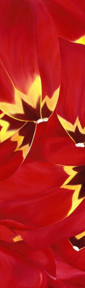 Red and Close to you art print by Yvonne Poelstra-Holzhaus for $57.95 CAD