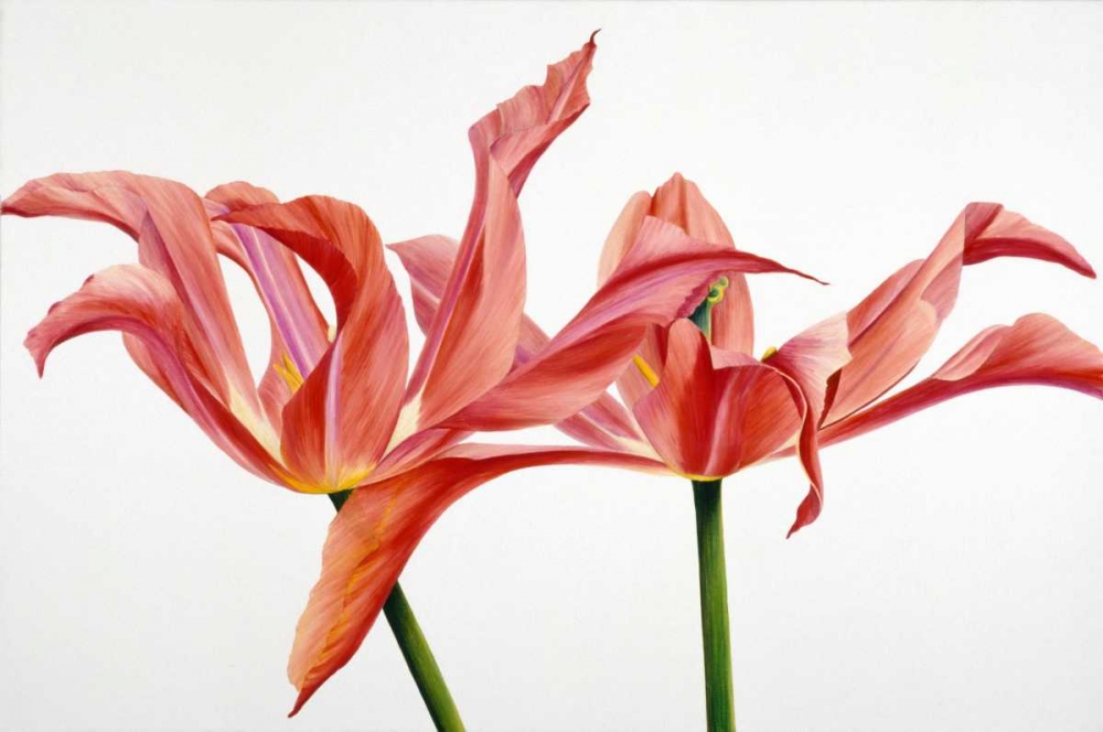 Dancing Floriade art print by Yvonne Poelstra-Holzhaus for $57.95 CAD