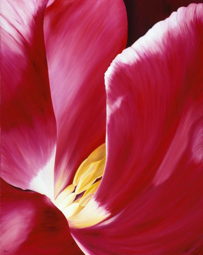 Look closer art print by Yvonne Poelstra-Holzhaus for $57.95 CAD