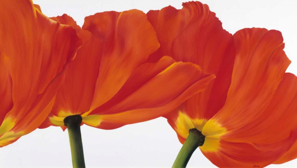 Spring dance art print by Yvonne Poelstra-Holzhaus for $57.95 CAD