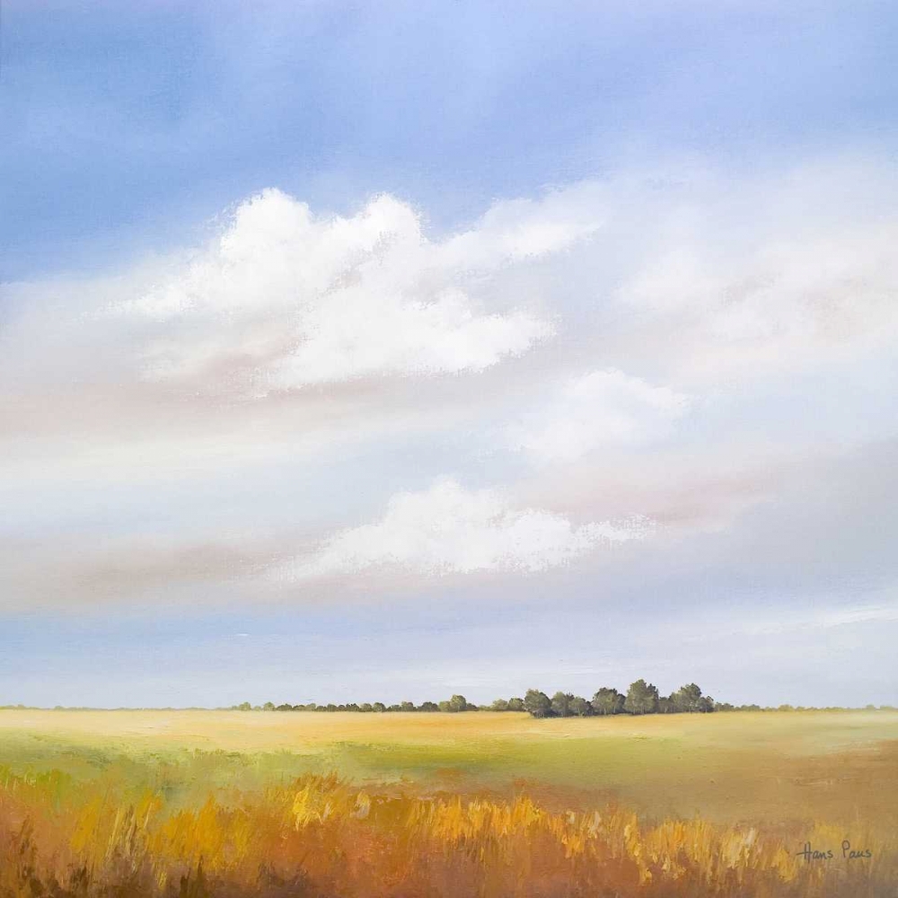 Lowlands IV art print by Hans Paus for $57.95 CAD