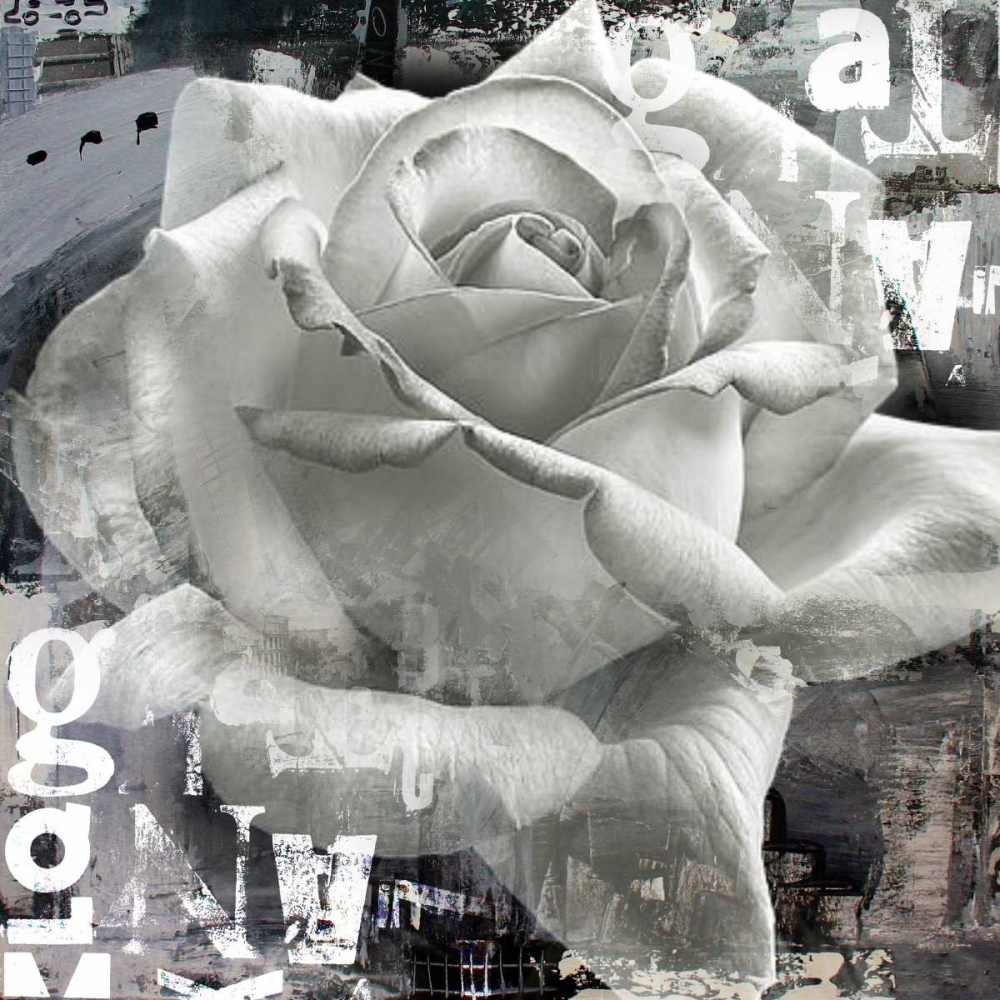 White Rose II art print by Micha Baker for $57.95 CAD