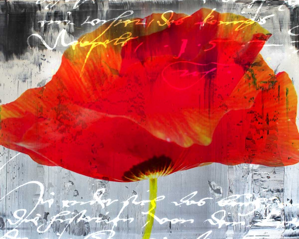 Poppy Story II art print by Micha Baker for $57.95 CAD