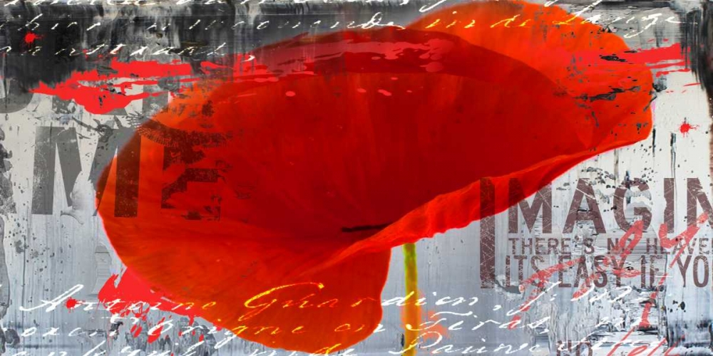 Poppy Story III art print by Micha Baker for $57.95 CAD