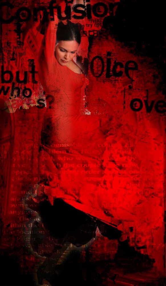 Flamenco art print by Micha Baker for $57.95 CAD