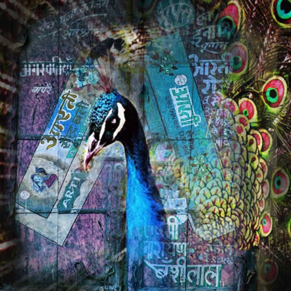 Peacock art print by Mascha de Haas for $57.95 CAD