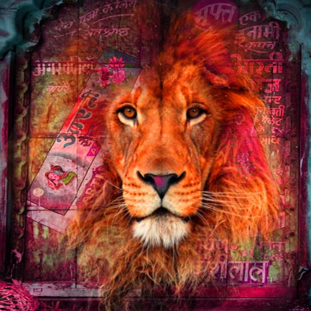 Lion I art print by Mascha de Haas for $57.95 CAD