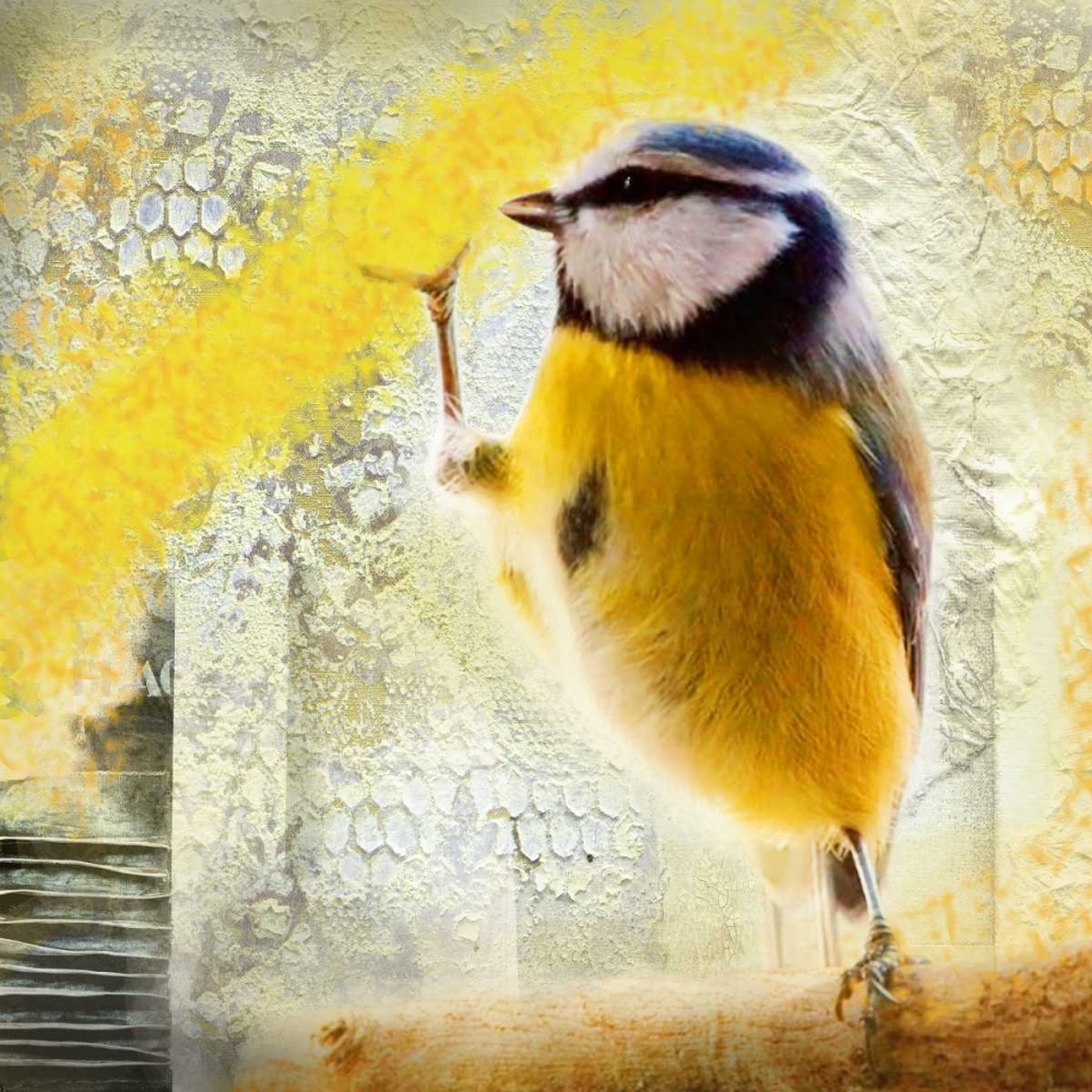 Birdy art print by Mascha de Haas for $57.95 CAD