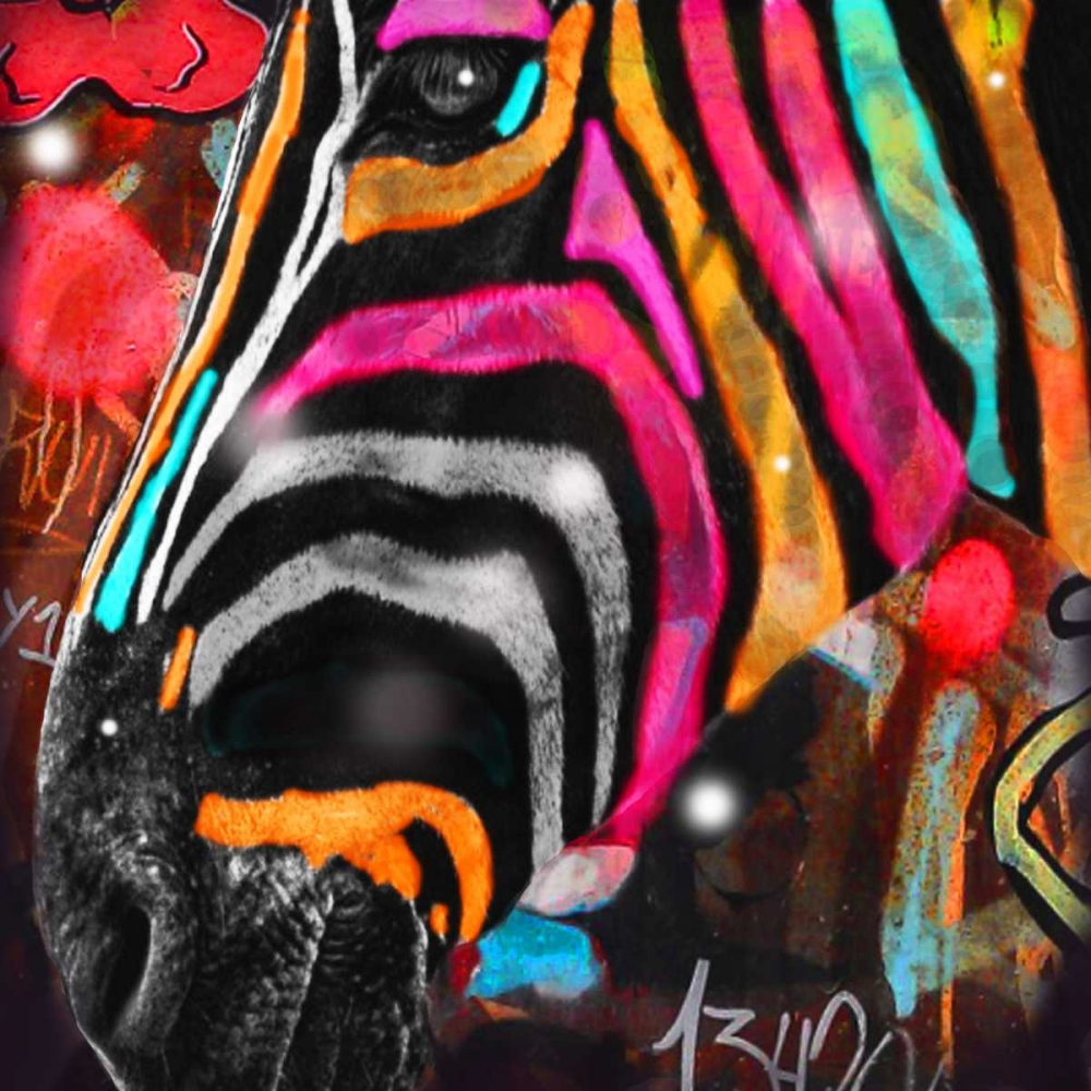 Unizebra art print by Mascha de Haas for $57.95 CAD