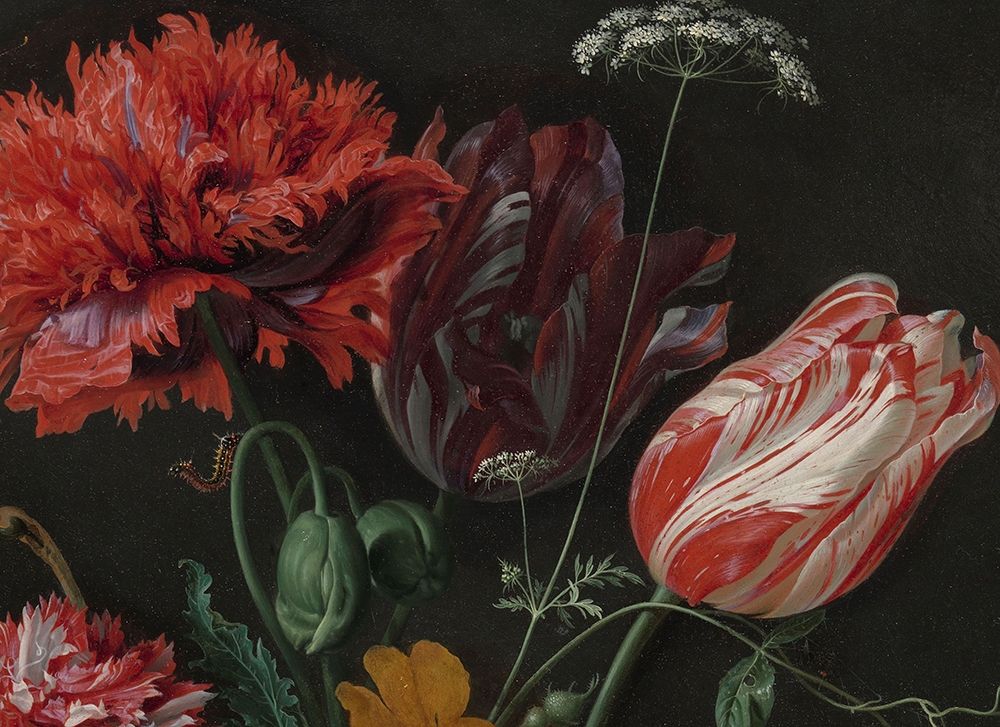 Botanic III art print by JD Heem for $57.95 CAD