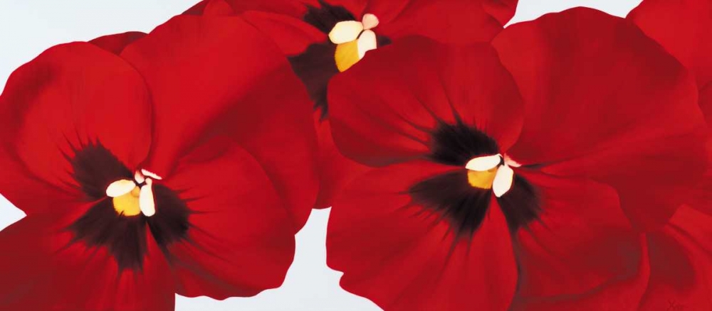Red I - pansies art print by Yvonne Poelstra-Holzhaus for $57.95 CAD