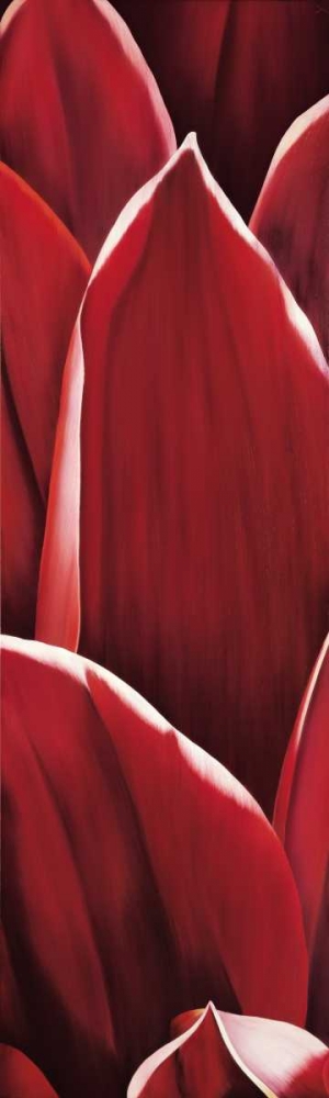 Dahlia I art print by Yvonne Poelstra-Holzhaus for $57.95 CAD
