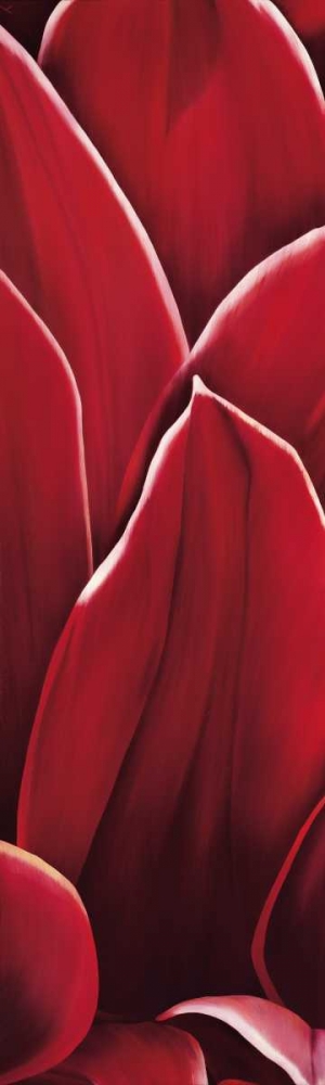 Dahlia II art print by Yvonne Poelstra-Holzhaus for $57.95 CAD