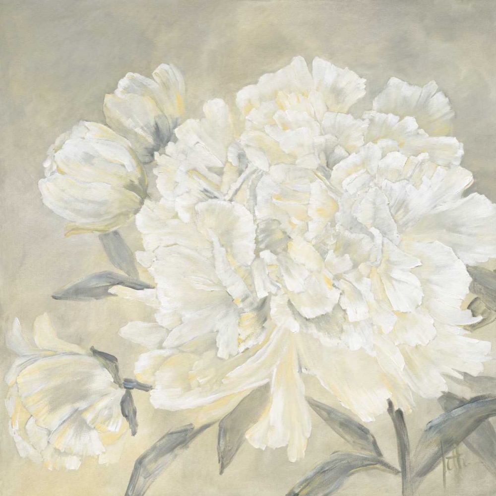 Paeonia I art print by Jettie Roseboom for $57.95 CAD