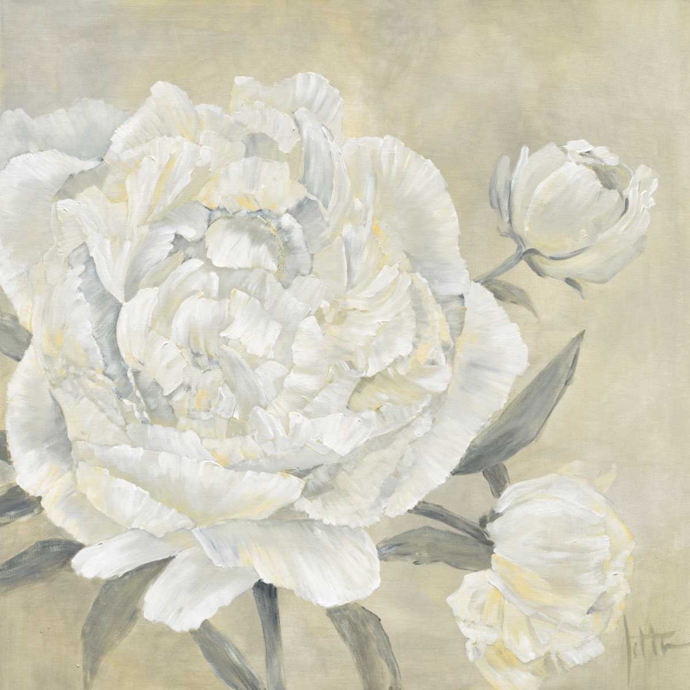 Paeonia II art print by Jettie Roseboom for $57.95 CAD