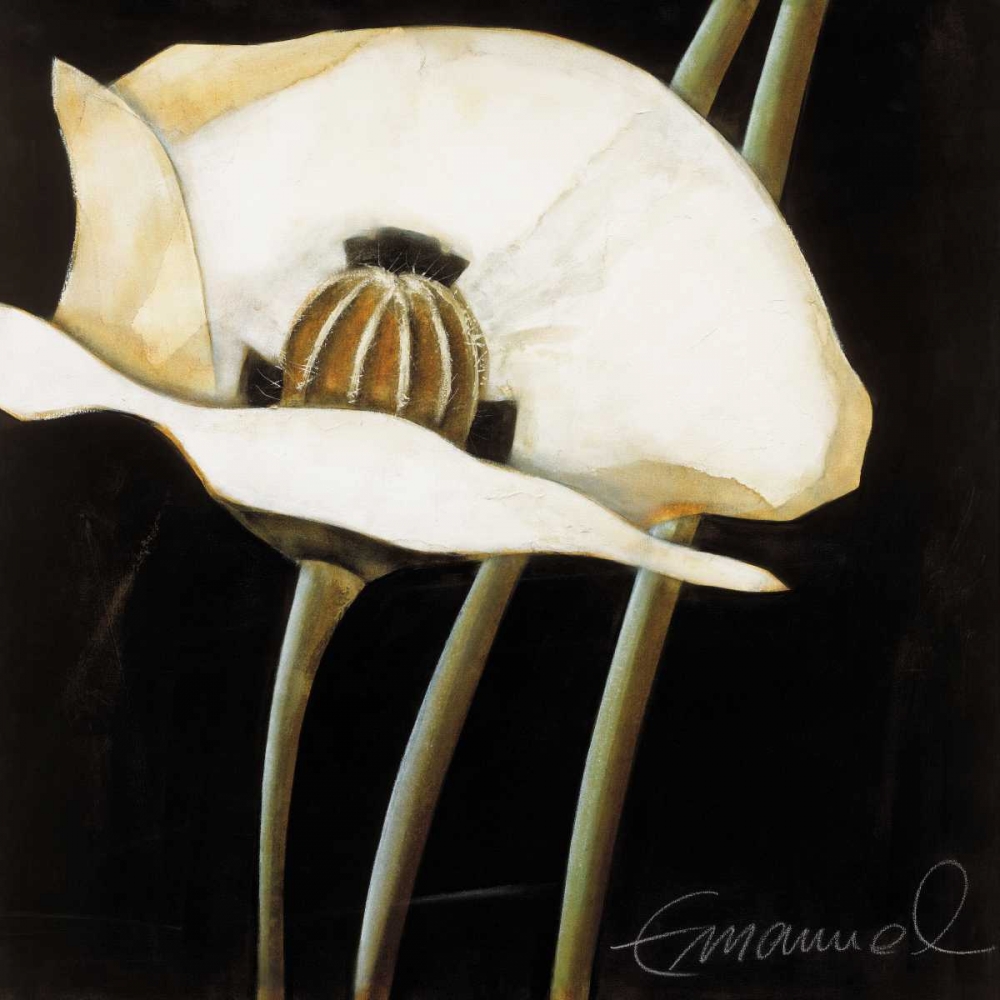 Excellent II art print by Beate Emanuel for $57.95 CAD