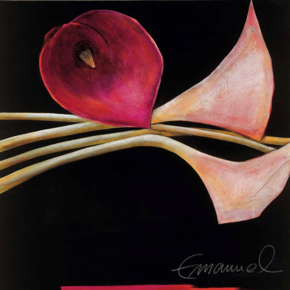 Excellent IV art print by Beate Emanuel for $57.95 CAD