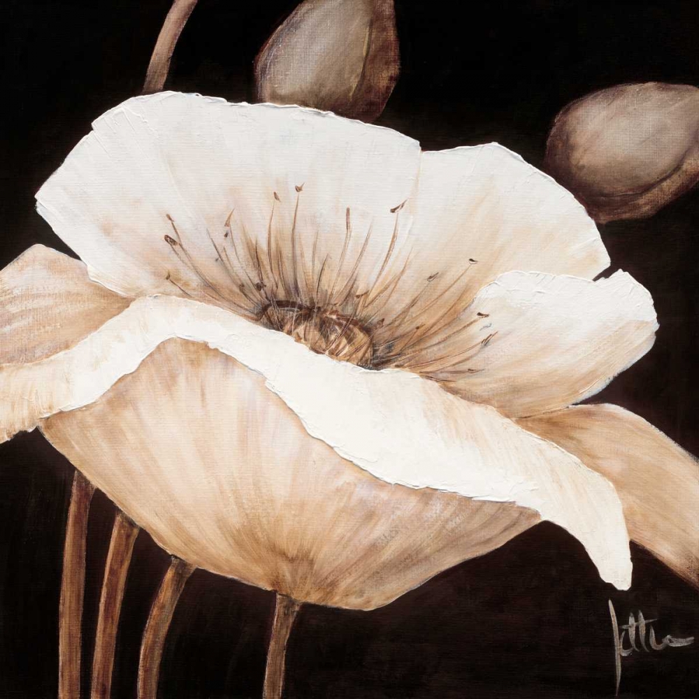 Amazing poppies II art print by Jettie Roseboom for $57.95 CAD