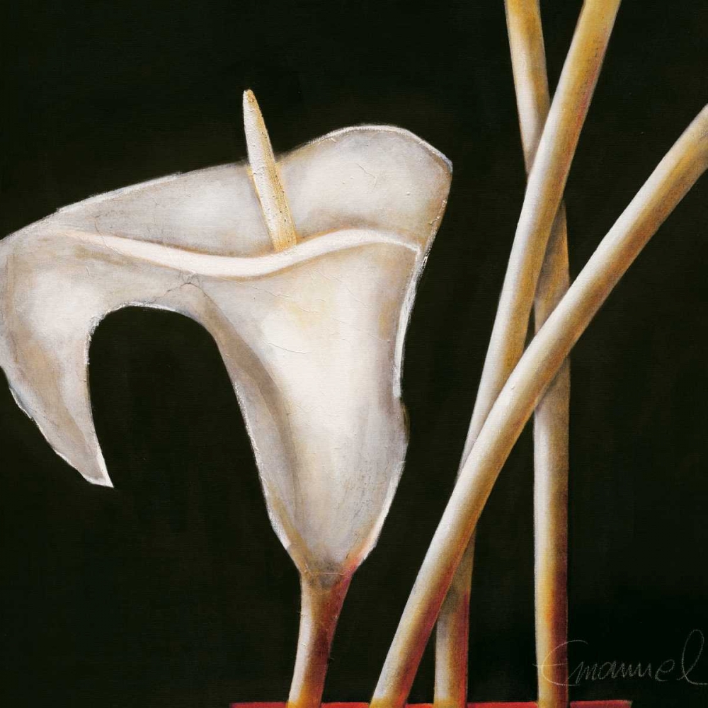 Lily in sepia I art print by Beate Emanuel for $57.95 CAD