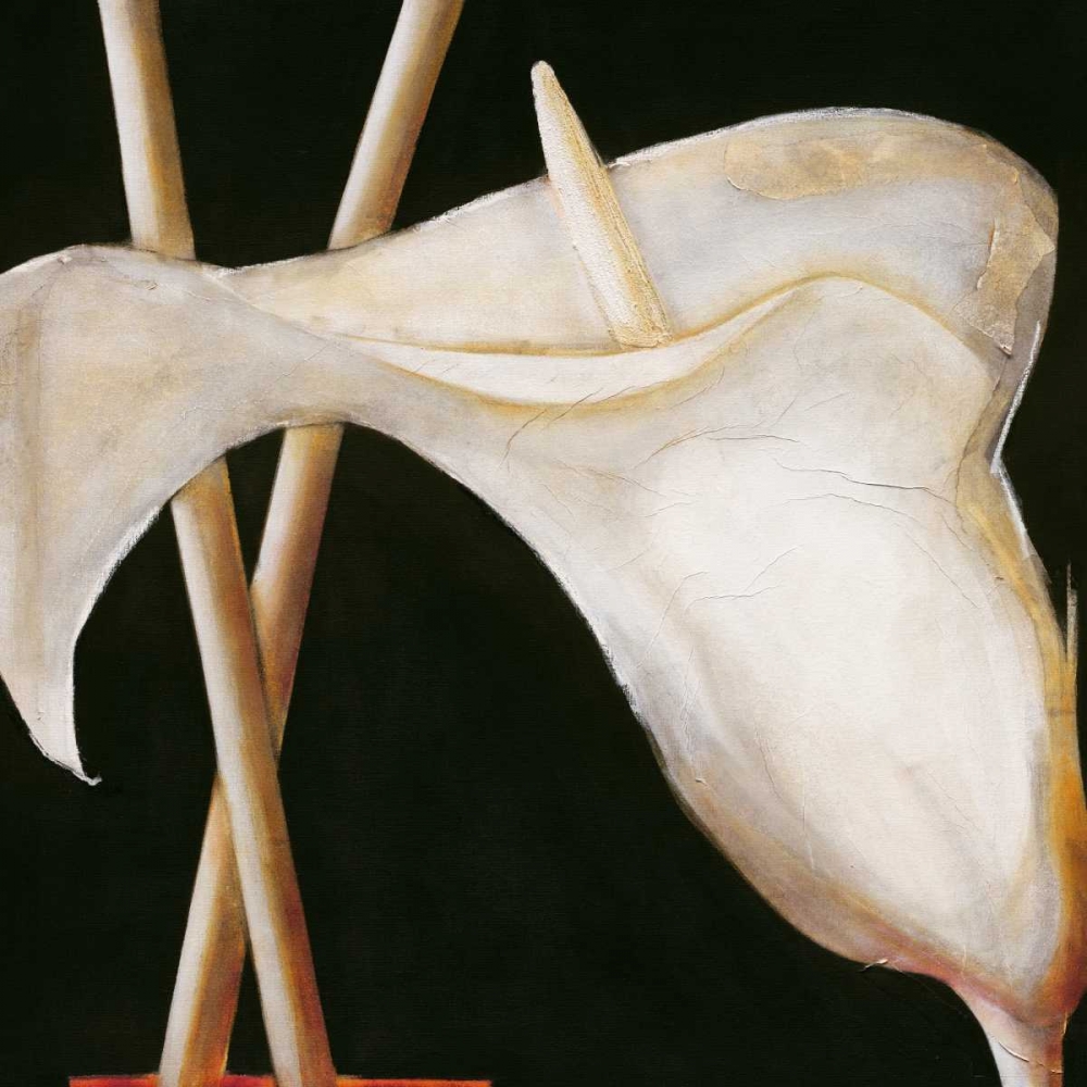 Lily in sepia II art print by Beate Emanuel for $57.95 CAD